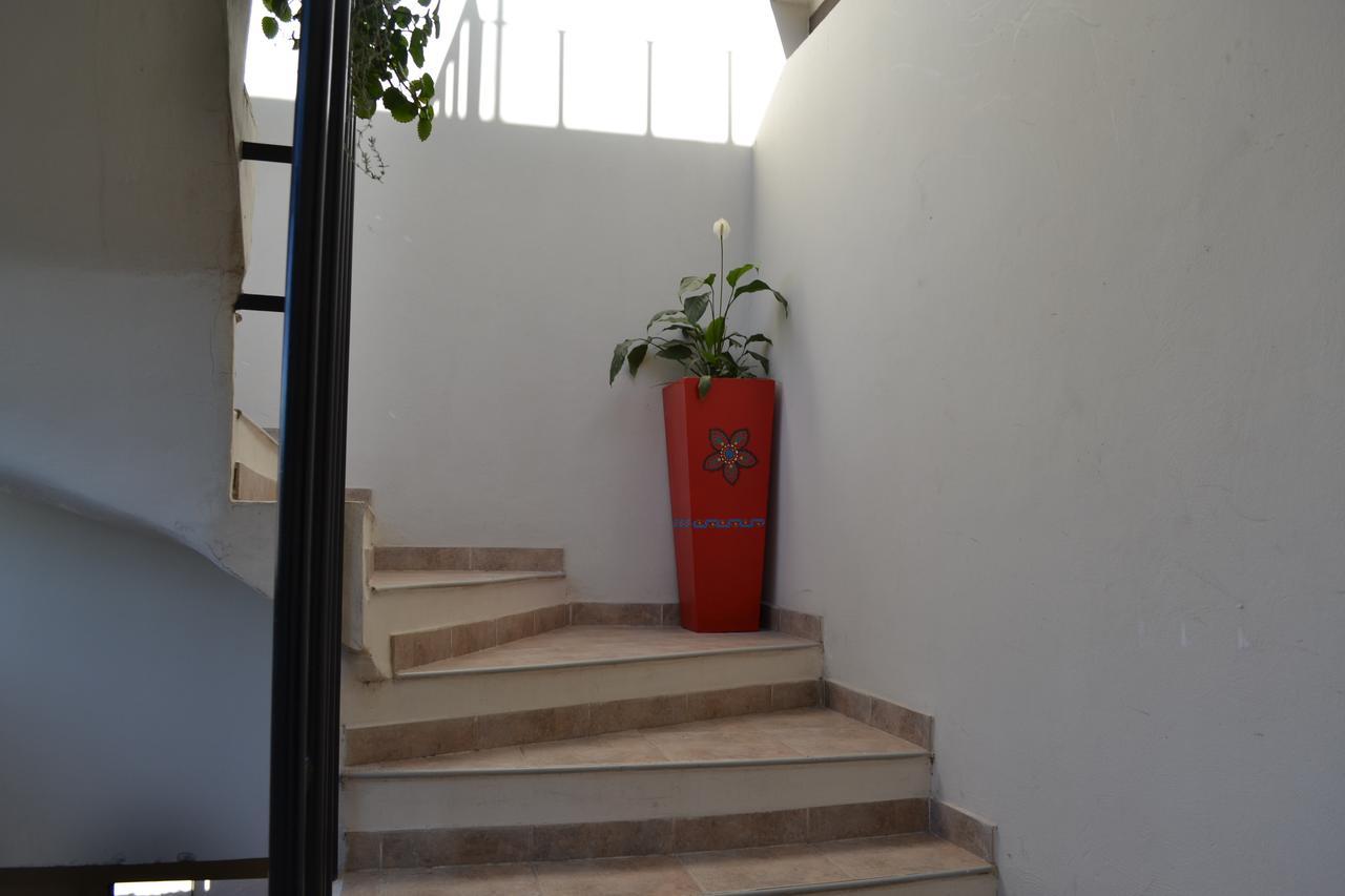 Guest House Jujuy San Salvador de Jujuy Eksteriør billede